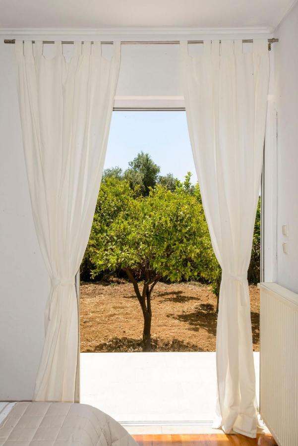 Naftilos Blue View Retreat Αβία Εξωτερικό φωτογραφία